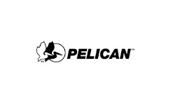 Pelican